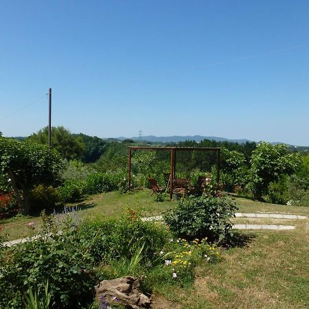 Agriturismo Poggio Al Tesoro Crespina Экстерьер фото